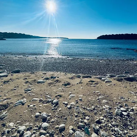 Appartamento Divina V 150 Meters From The *